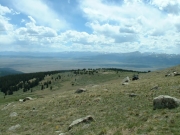view_from_near_the_top