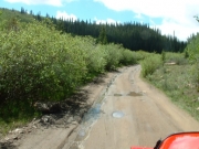 wet_trail