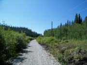 early_gravel_road