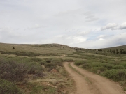 above_timberline