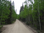 early_trail