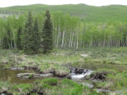 marsh