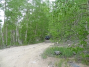 matt_in_aspens