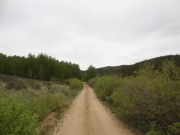 overcast