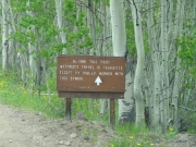 stay_on_the_trail