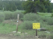 turn_left