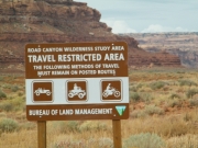 blm_sign