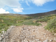 bumpy_trail