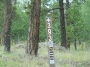 carsonite_sign