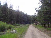 next_to_a_creek