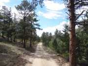 trail_ahead