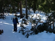 deadfall_part_1