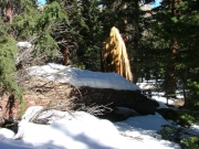deadfall_part_2