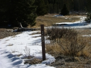 forest_service_sign