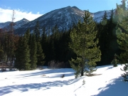 morgan_peak