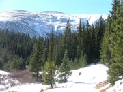 mountain_view