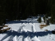 tracks_in_the_snow