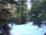 virgin_snow