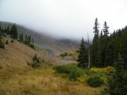 fog_bank
