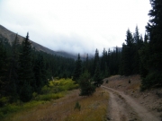 foggy_ahead