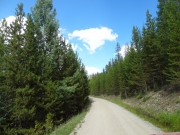 easy_road