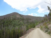shelf_road