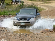 perry_in_the_water_part_1