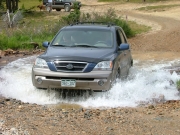perry_in_the_water_part_2