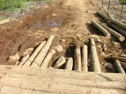 the_bridge_part_1
