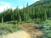 water_crossing