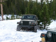 bob_in_the_snow