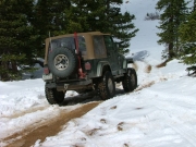bob_on_the_trail