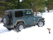 jed_in_snow_part_2