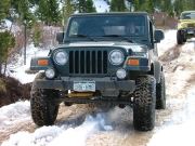 ladd_on_the_trail