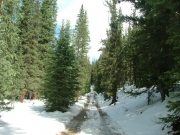 snowy_trail_part_1