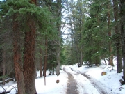 snowy_trail_part_2