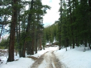 snowy_trail_part_3