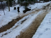 the_bridge_part_1