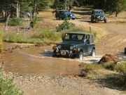 bob_through_the_river