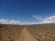 buckhorn_flat