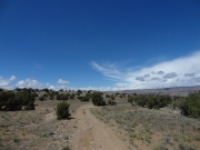 little-used_trail
