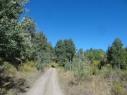different_trees