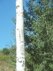 graffiti