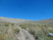 lesser-used_trail