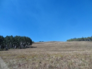 open_space