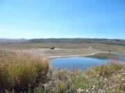 walt_at_welsh_reservoir