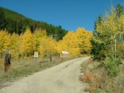 aspens_part_1