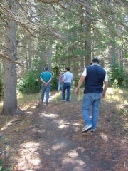 hike_to_the_champion_mill