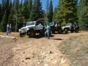 jeeps