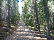 long_and_narrow